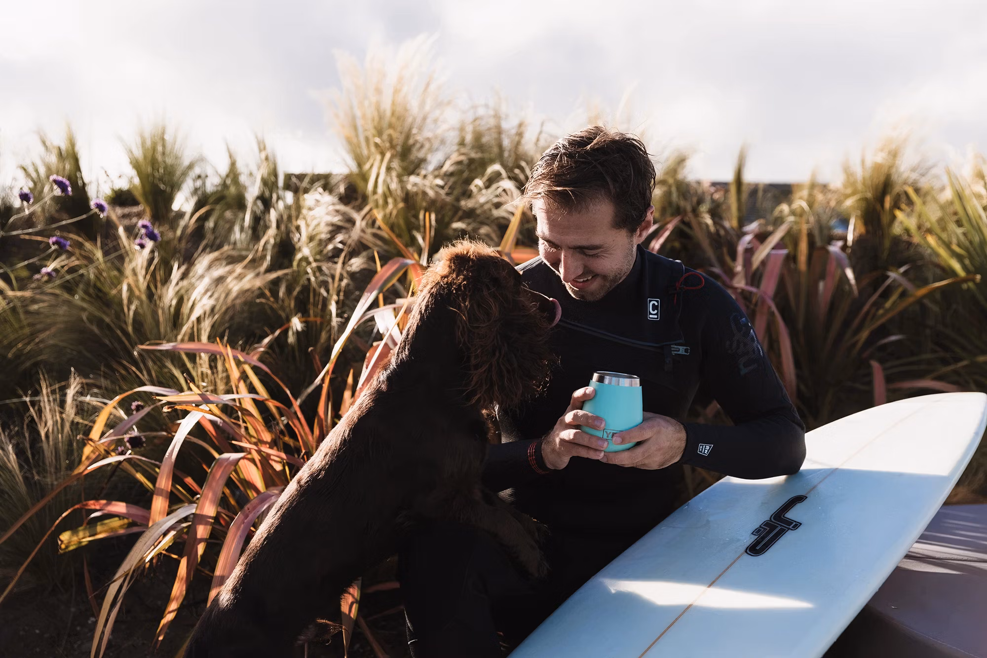 Dog-friendly beaches in St Ives Bay