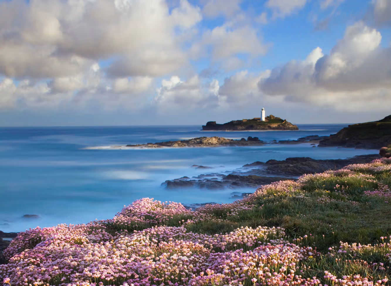 Back to nature: Wildflowers