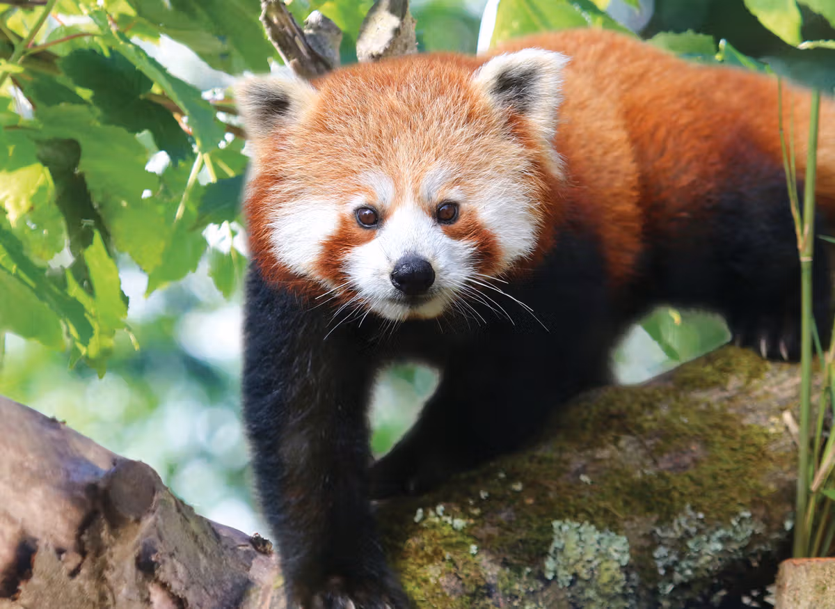 Rainy day activities