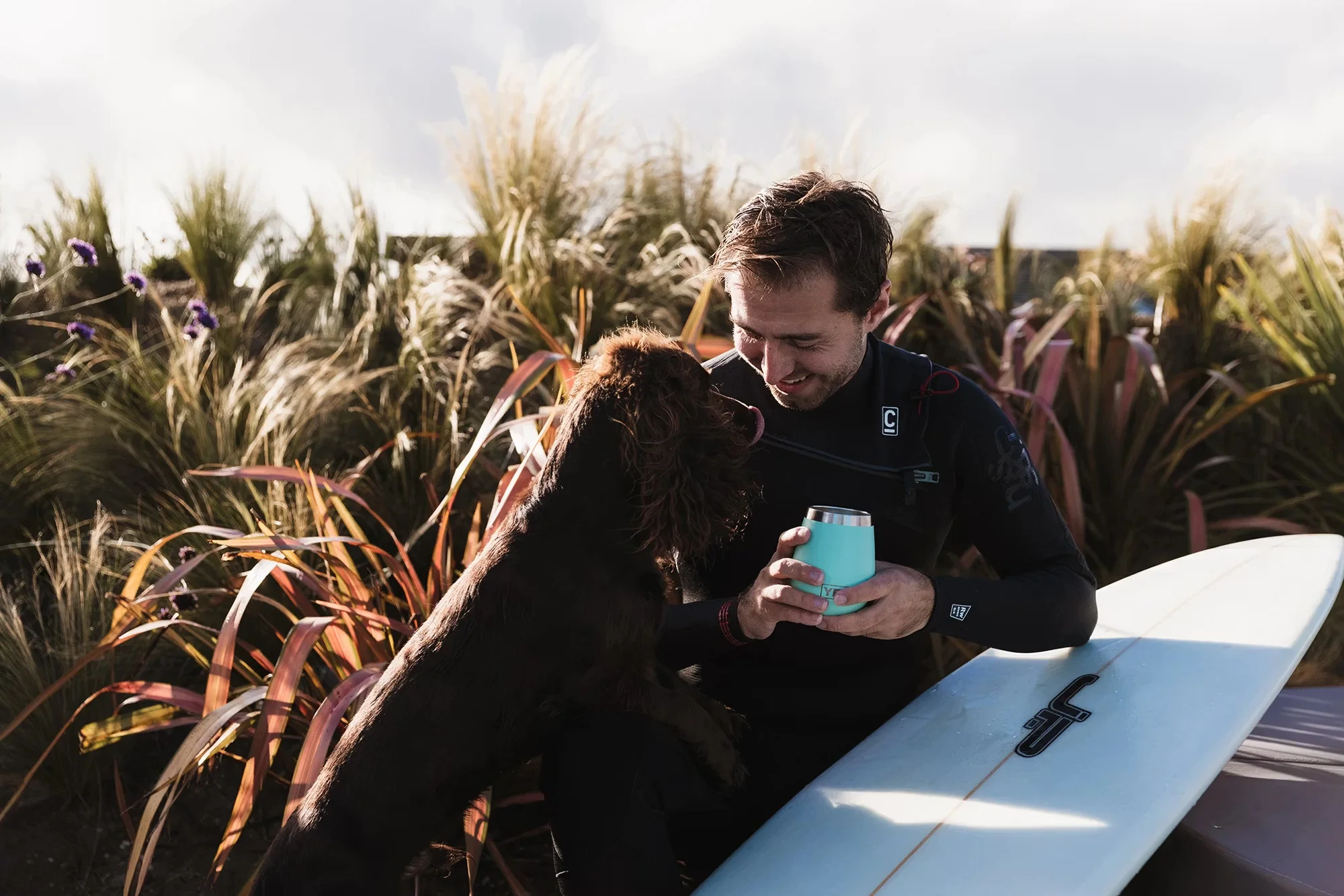 Dog-friendly beaches in St Ives Bay