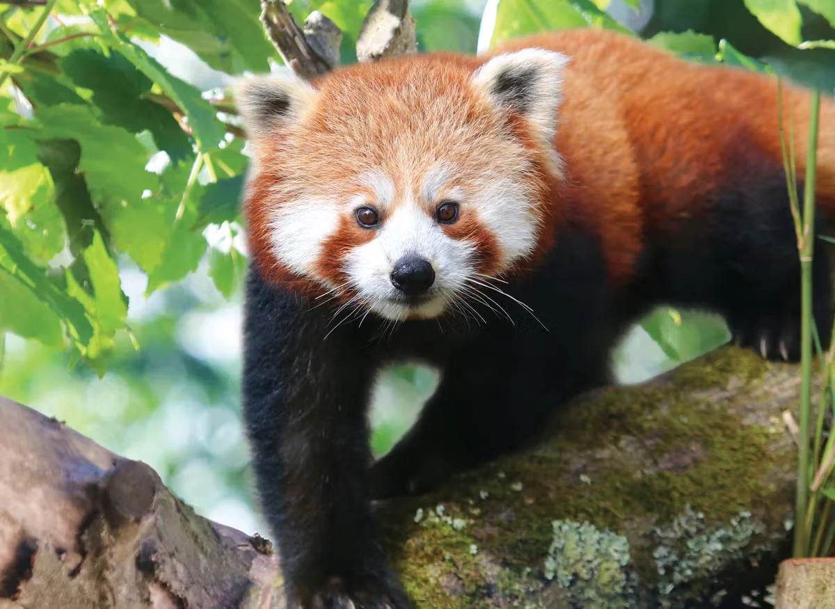 Rainy day family activities