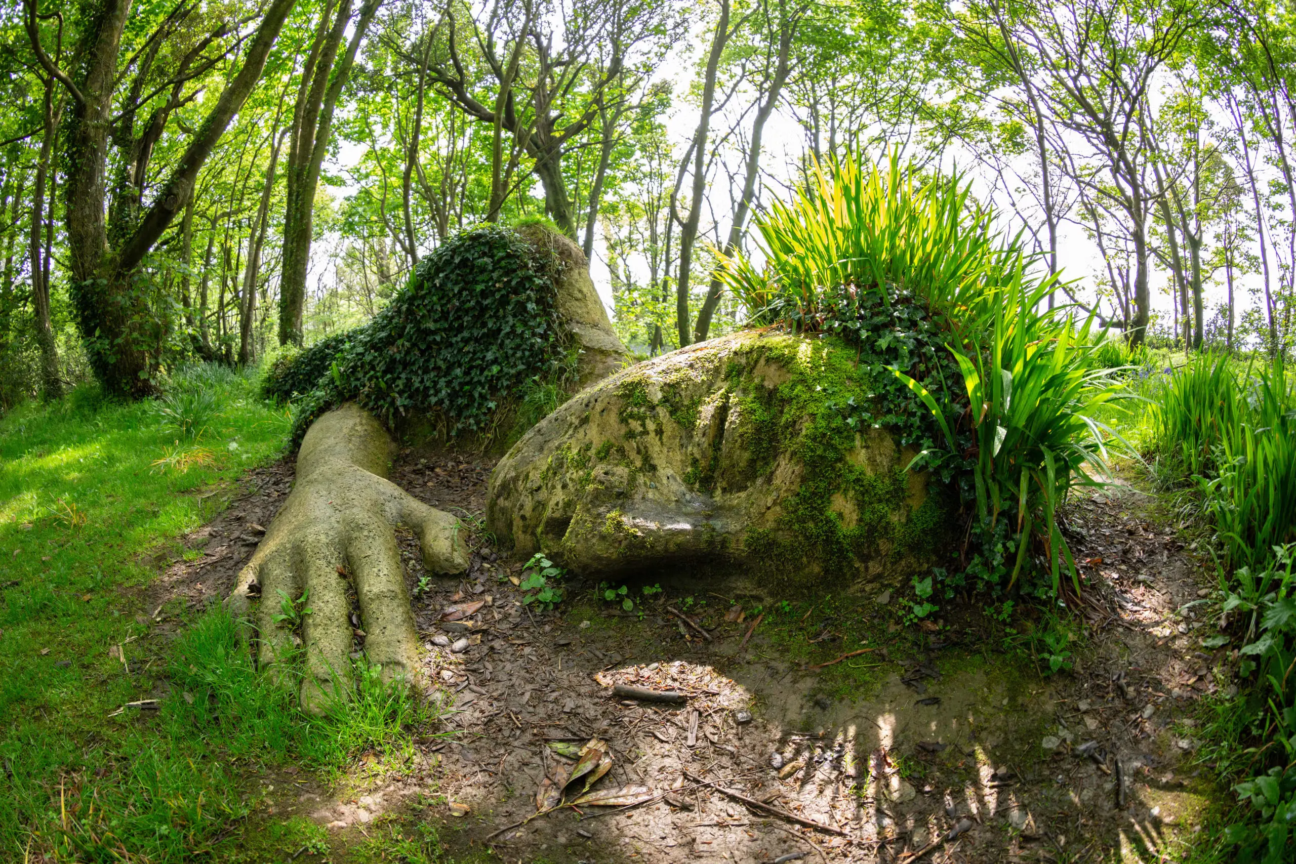 The Best Gardens in Cornwall