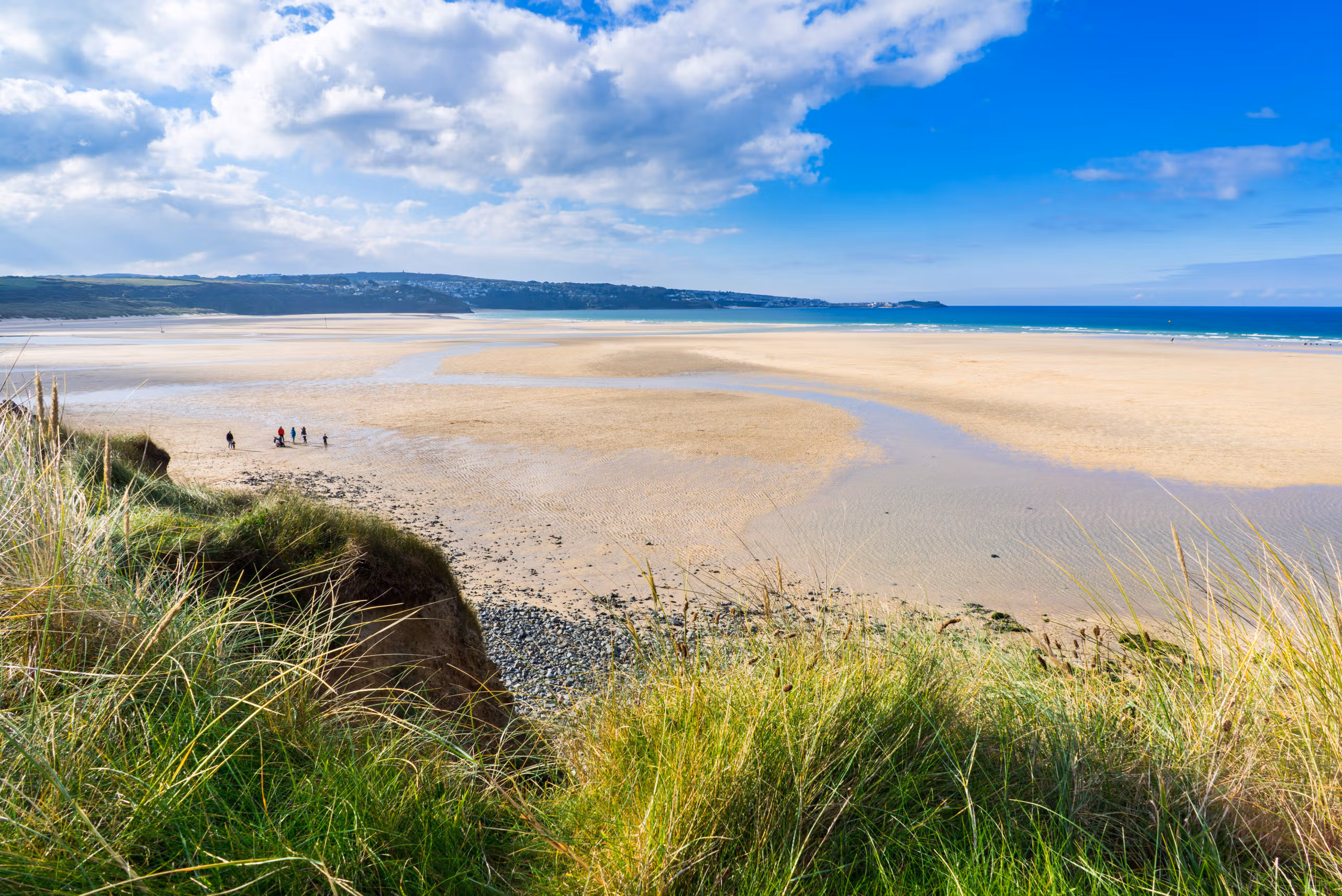 St Ives Bay Wildlife & Tours