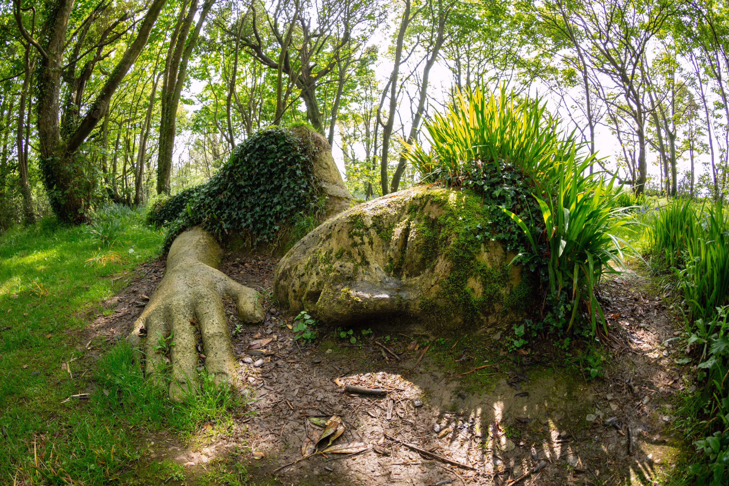 The Best Gardens in Cornwall